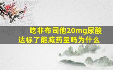 吃非布司他20mg尿酸达标了能减药量吗为什么