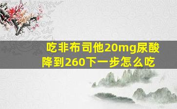 吃非布司他20mg尿酸降到260下一步怎么吃