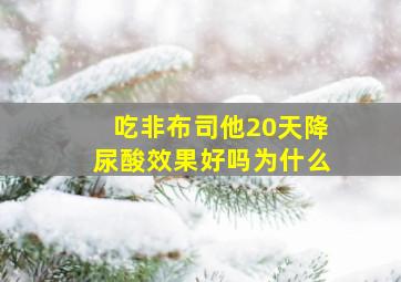 吃非布司他20天降尿酸效果好吗为什么