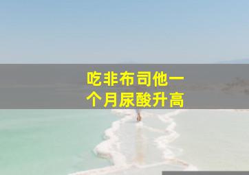 吃非布司他一个月尿酸升高