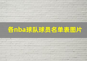 各nba球队球员名单表图片