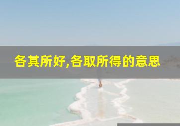 各其所好,各取所得的意思