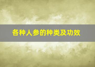 各种人参的种类及功效