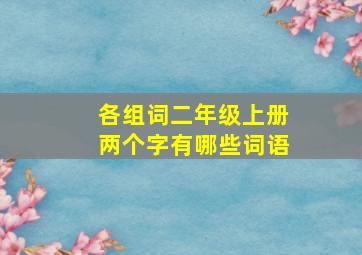 各组词二年级上册两个字有哪些词语