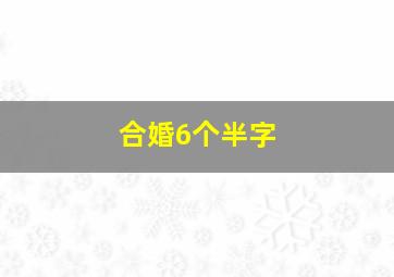 合婚6个半字