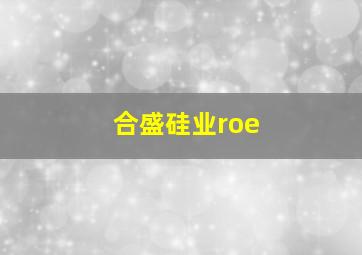 合盛硅业roe