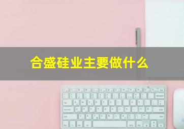 合盛硅业主要做什么