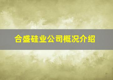 合盛硅业公司概况介绍