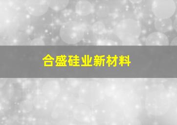 合盛硅业新材料