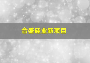 合盛硅业新项目