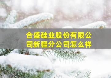 合盛硅业股份有限公司新疆分公司怎么样