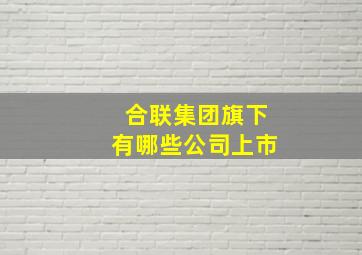 合联集团旗下有哪些公司上市