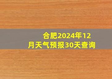 合肥2024年12月天气预报30天查询