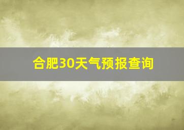 合肥30天气预报查询