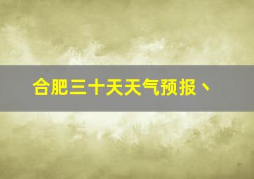 合肥三十天天气预报丶