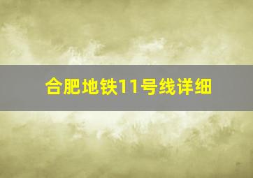 合肥地铁11号线详细