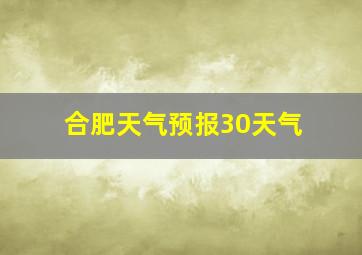 合肥天气预报30天气