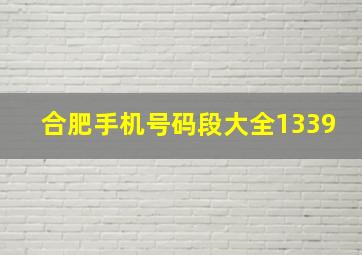 合肥手机号码段大全1339