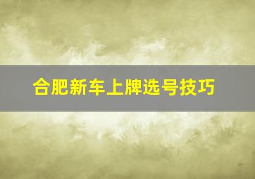 合肥新车上牌选号技巧