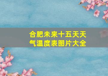 合肥未来十五天天气温度表图片大全