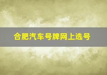 合肥汽车号牌网上选号