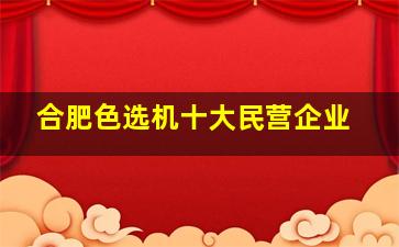 合肥色选机十大民营企业