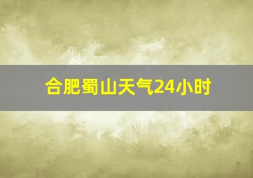 合肥蜀山天气24小时