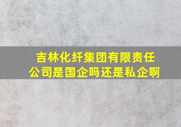 吉林化纤集团有限责任公司是国企吗还是私企啊