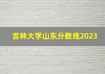 吉林大学山东分数线2023