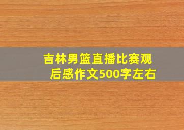 吉林男篮直播比赛观后感作文500字左右