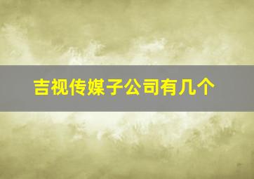 吉视传媒子公司有几个