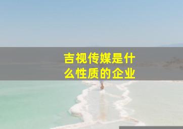 吉视传媒是什么性质的企业