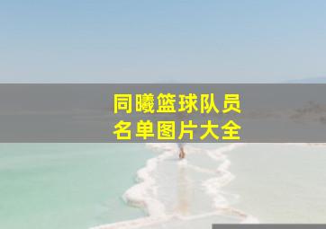 同曦篮球队员名单图片大全