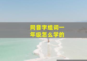 同音字组词一年级怎么学的