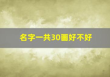 名字一共30画好不好