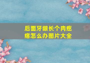 后面牙龈长个肉疙瘩怎么办图片大全