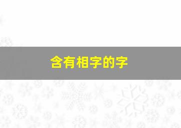 含有相字的字