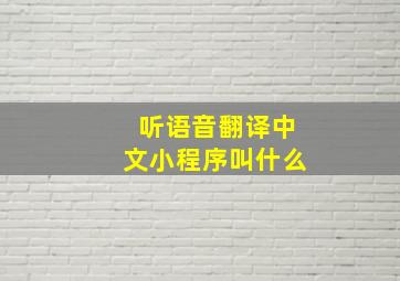 听语音翻译中文小程序叫什么