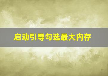 启动引导勾选最大内存