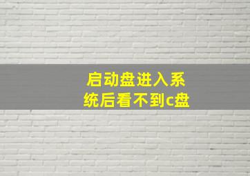 启动盘进入系统后看不到c盘