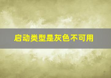 启动类型是灰色不可用