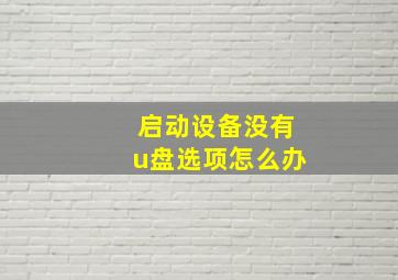 启动设备没有u盘选项怎么办