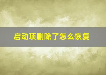 启动项删除了怎么恢复