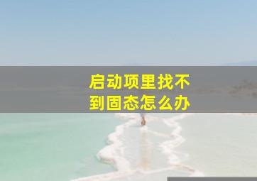 启动项里找不到固态怎么办