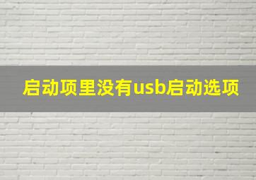 启动项里没有usb启动选项