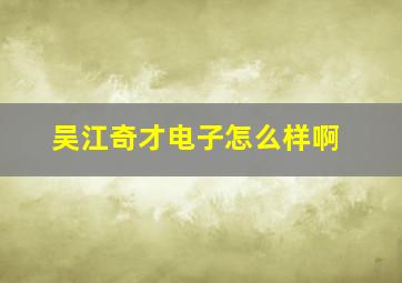 吴江奇才电子怎么样啊