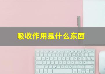 吸收作用是什么东西