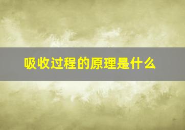 吸收过程的原理是什么