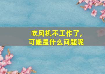 吹风机不工作了,可能是什么问题呢