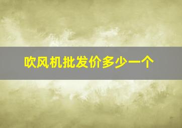 吹风机批发价多少一个